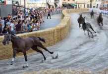 corse a vuoto ronciglione foto enrico barbini week