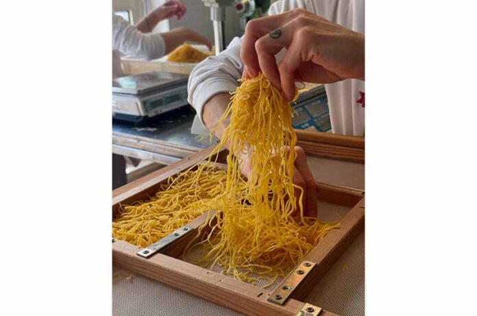 maccheroni canepinesi produzione pasta fanelli copia