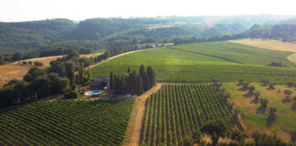 Nelle Terre del Grechetto a Civitella d’Agliano percorso con calice e tracolla alla scoperta delle cantine
