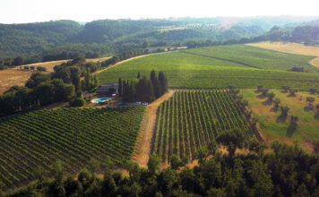 Nelle Terre del Grechetto a Civitella d’Agliano percorso con calice e tracolla alla scoperta delle cantine