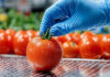 Sicurezza e sostenibilità agroalimentare, standard globali e nuovi requisiti: webinar gratuito sicurezza&sostenibilitàalimentare