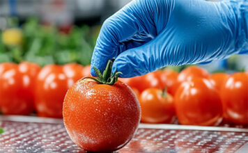 Sicurezza e sostenibilità agroalimentare, standard globali e nuovi requisiti: webinar gratuito sicurezza&sostenibilitàalimentare
