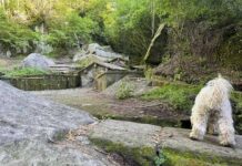 Il teatro incontra il paesaggio: Fosso Luparo diventa un percorso tra natura, memoria e arte