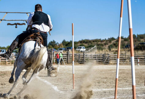 56° Torneo Regionale dei Butteri-Tolfa