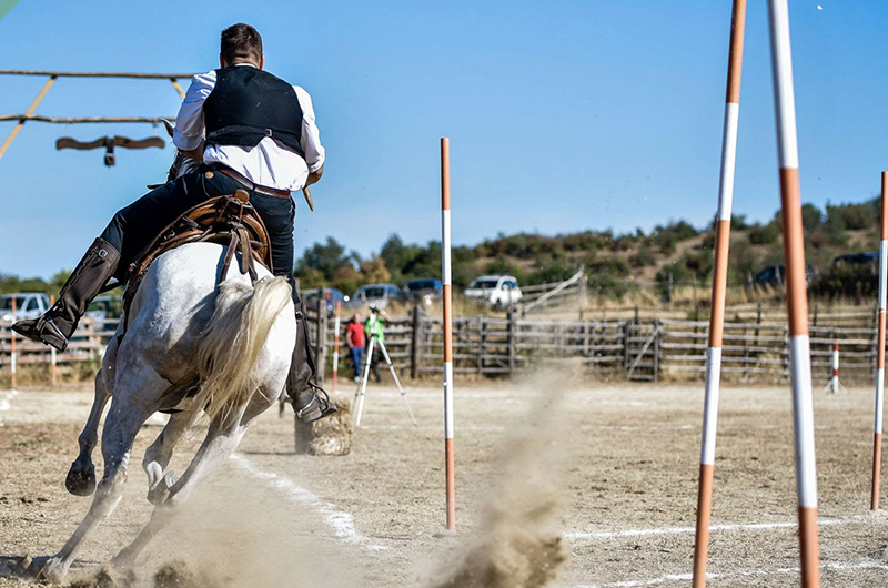 56° Torneo Regionale dei Butteri-Tolfa