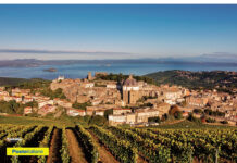Cartolina Montefiascone _fr