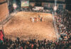 Cavalli in Piazza-Blera