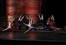 Il lago dei cigni-Compagnia Almatanz