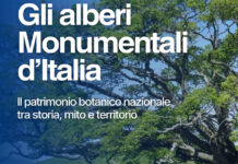 alberi monumeentali-elenco aggiornato
