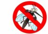 disinfestazione ad Acquapendente