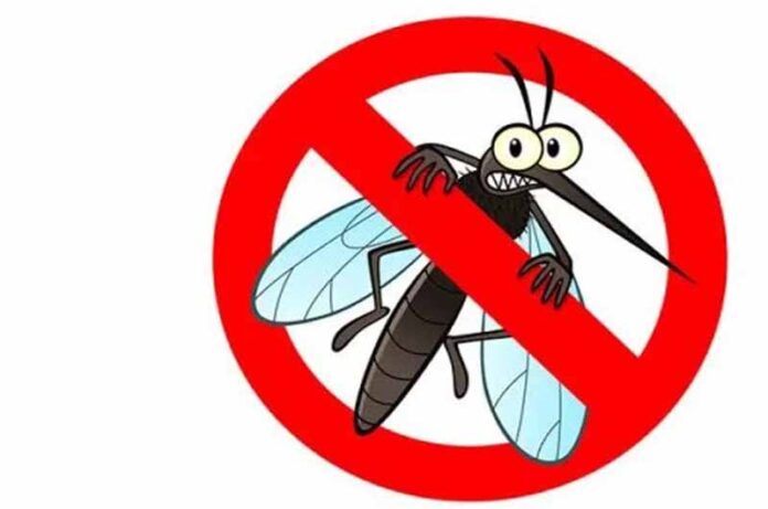disinfestazione ad Acquapendente