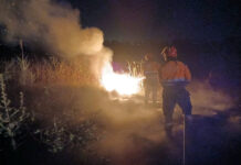 Incendio alla Riserva Naturale delle Saline di Tarquinia Lido, rilasciata area in sicurezza