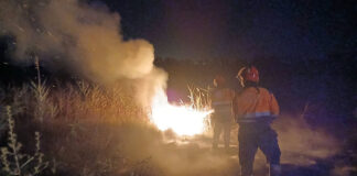 Incendio alla Riserva Naturale delle Saline di Tarquinia Lido, rilasciata area in sicurezza