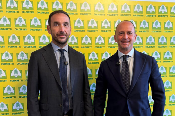 David Granieri e Simone Foglio