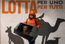 “Lotta per uno, lotta per tutti”, Lav Viterbo dà appuntamento a nuovi attivisti allo Chalet Garbini 2008 Lotta per uno lotta per tutti