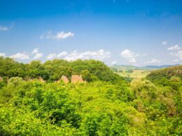 “The Walking DEB 5.0”, una giornata di trekking alla scoperta delle scienze naturali e ambientali Monterano