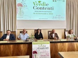 VerdiEContenti-pre2026