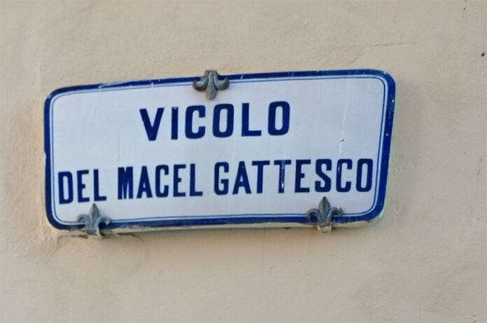 Viterbo, vicolo del Macel Gattesco