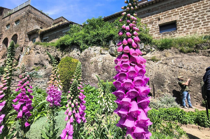 castello di vasanello_