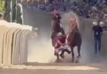 Palio di San Clemente, Enpa: “Se il fantino sceglie il rischio, il cavallo subisce la barbarie” palio di san clemente-dal video