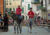 Giornate della Castagna di Canepina, tra i numerosi eventi del secondo weekend spicca il 34° Palio degli Asini Giornate della castagna-Palio