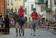 Giornate della castagna-Palio