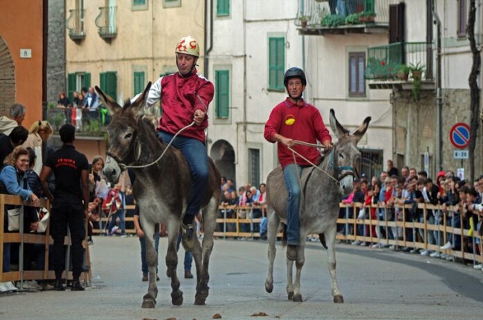 Giornate della castagna-Palio Giornate della castagna-Palio