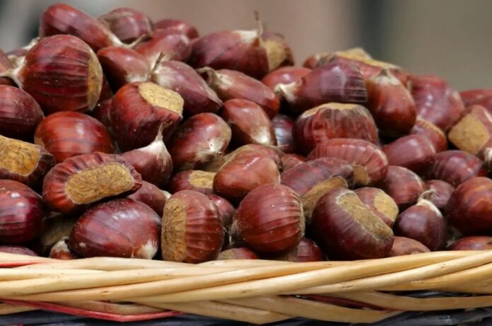 San Martino al Cimino Sagre di fungo porcino e castagne