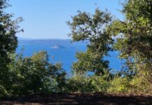 Santuario Etrusco di Monte Leandro - San Lorenzo Nuovo