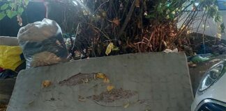 Rifiuti e giacigli di fortuna in centro, FdI Viterbo: “La città non può presentarsi così” rifiuti via s maria in volturno_via torino_via signorelli