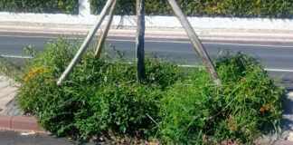 Caci:”Vulci vola, la Marina resta al palo”